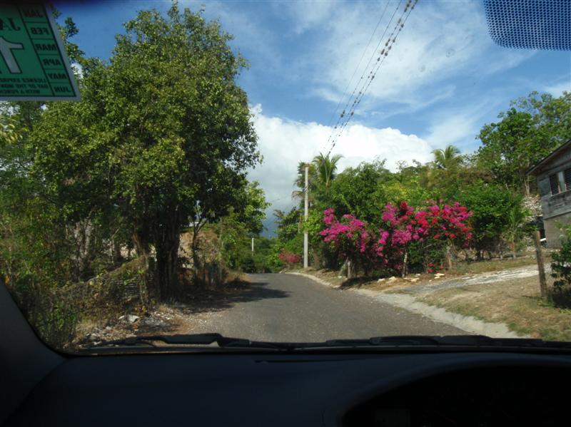 Name:  PC200213 (Medium).JPG
Views: 621
Size:  91.8 KB