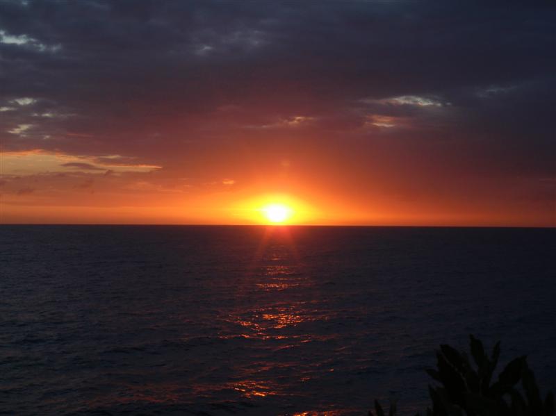 Name:  PC200225 (Medium).JPG
Views: 615
Size:  41.4 KB