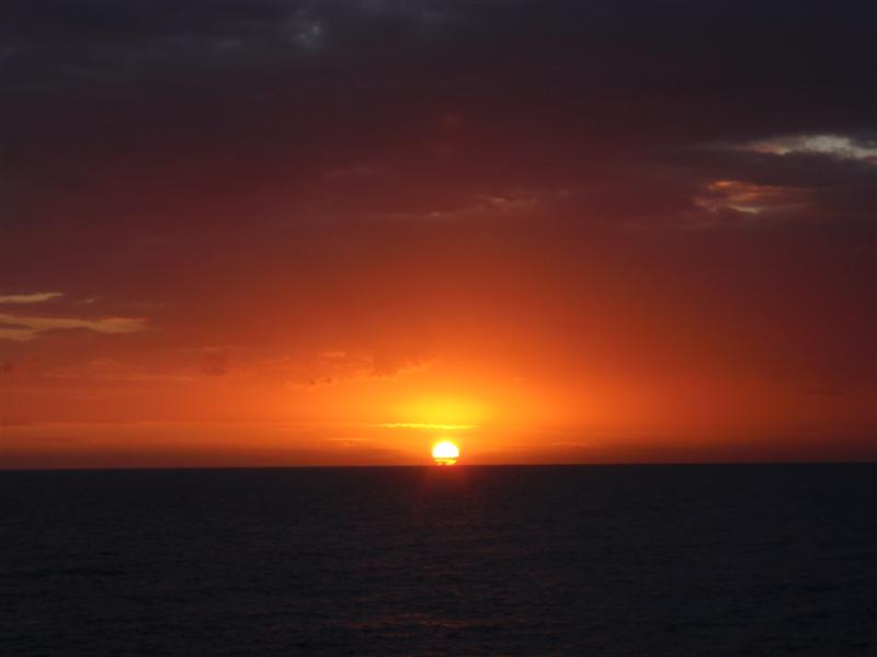 Name:  PC200226 (Medium).JPG
Views: 650
Size:  31.8 KB
