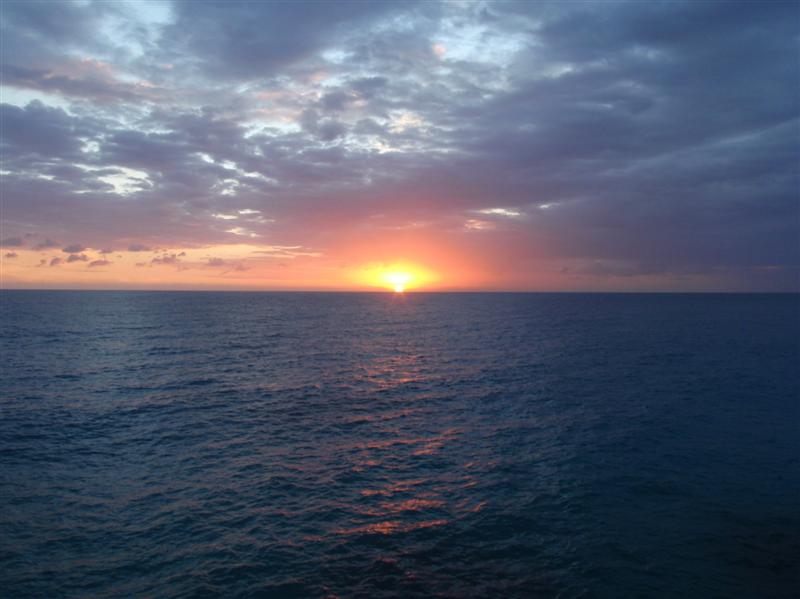 Name:  PC200227 (Medium).JPG
Views: 626
Size:  59.4 KB