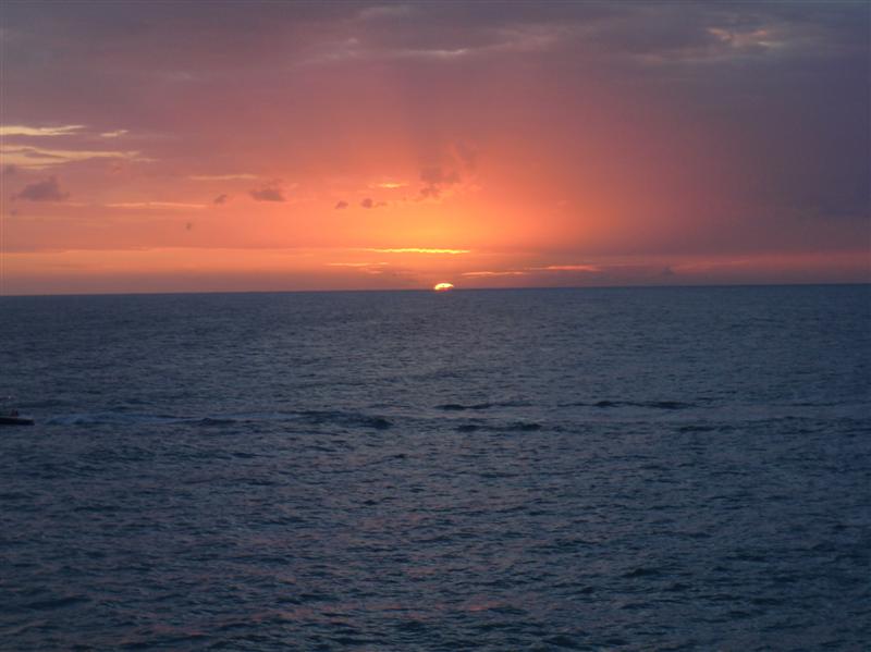 Name:  PC200229 (Medium).JPG
Views: 611
Size:  57.3 KB