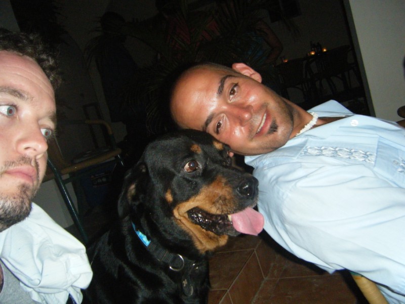 Name:  dog(800 x 600).jpg
Views: 261
Size:  89.1 KB