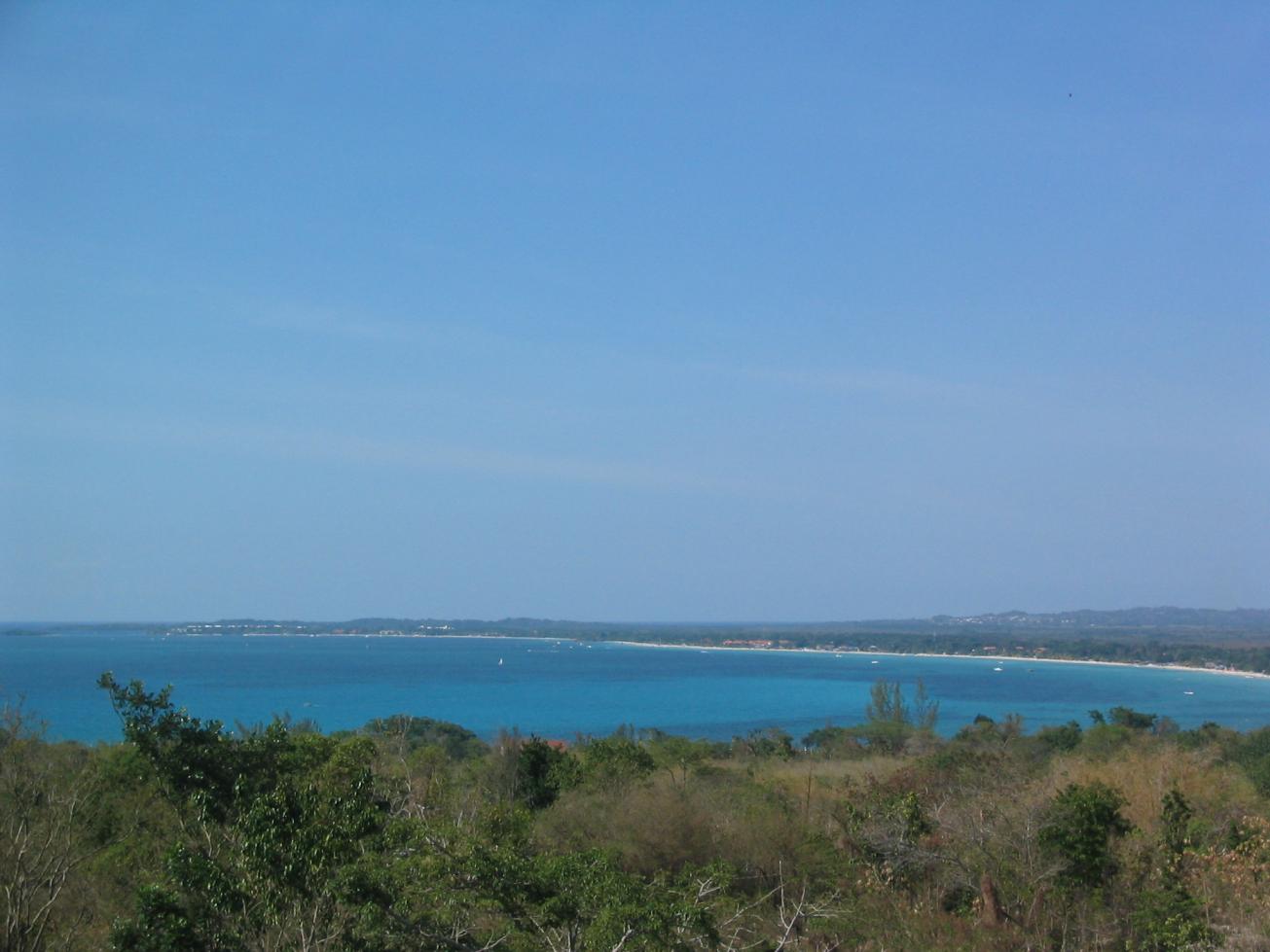 Name:  101_0102.jpg
Views: 3725
Size:  91.3 KB