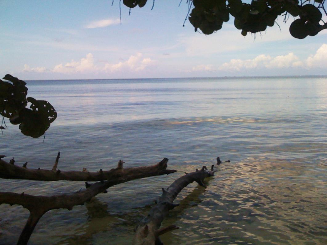 Name:  IMG_0237.jpg
Views: 3590
Size:  89.4 KB