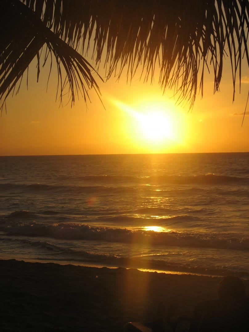 Name:  jamaica 2010 240.jpg
Views: 2953
Size:  89.7 KB