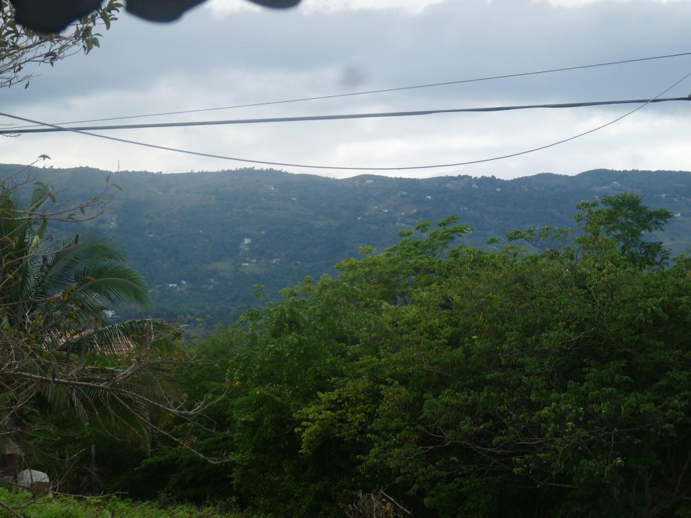 Name:  P1030917.jpg
Views: 723
Size:  94.2 KB