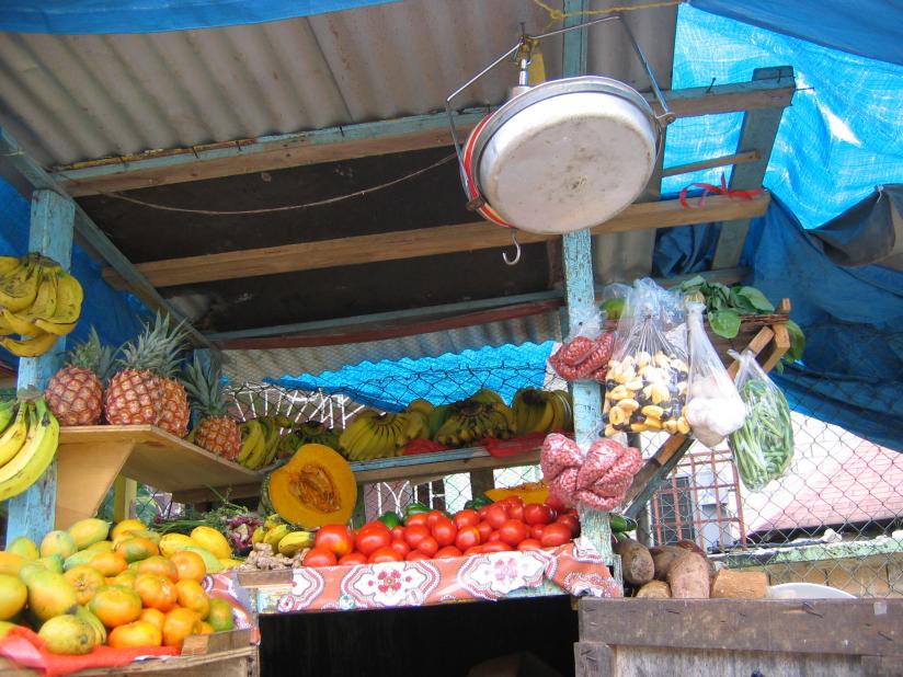 Name:  Jamaica Jan. 2011 230.jpg
Views: 2736
Size:  97.4 KB