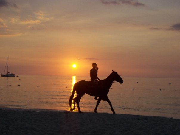Name:  jamaicahorsepic..jpg
Views: 2752
Size:  25.7 KB