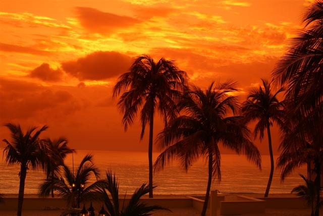 Name:  Negril sunset picture.jpg
Views: 2287
Size:  46.0 KB