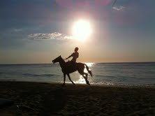 Name:  horseback at sunset from our balcony.jpg
Views: 2595
Size:  4.7 KB
