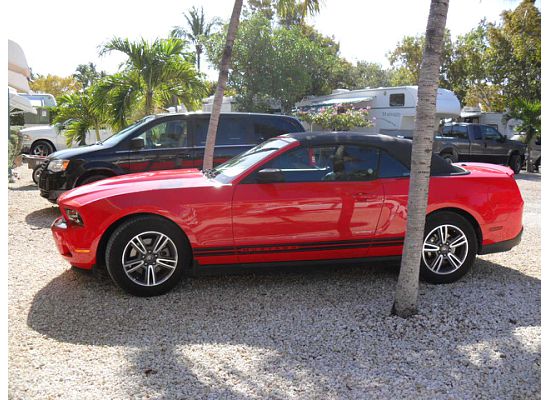 Name:  CAR JAMAICA.jpg
Views: 702
Size:  64.6 KB