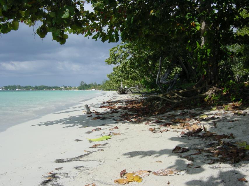 Name: TheSpotYouFoundIt.jpg
Views: 506
Size: 96.6 KB