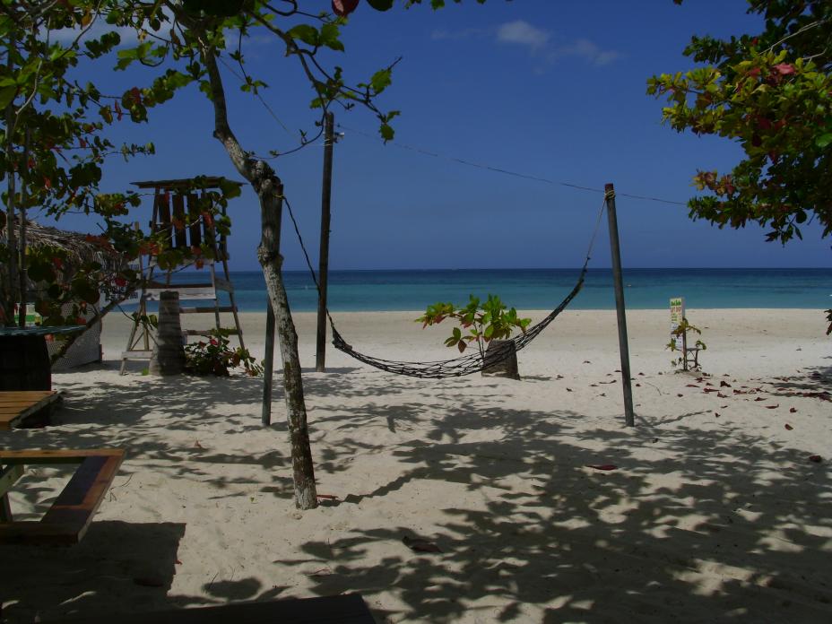 Name:  DSCI0340.jpg
Views: 390
Size:  92.9 KB
