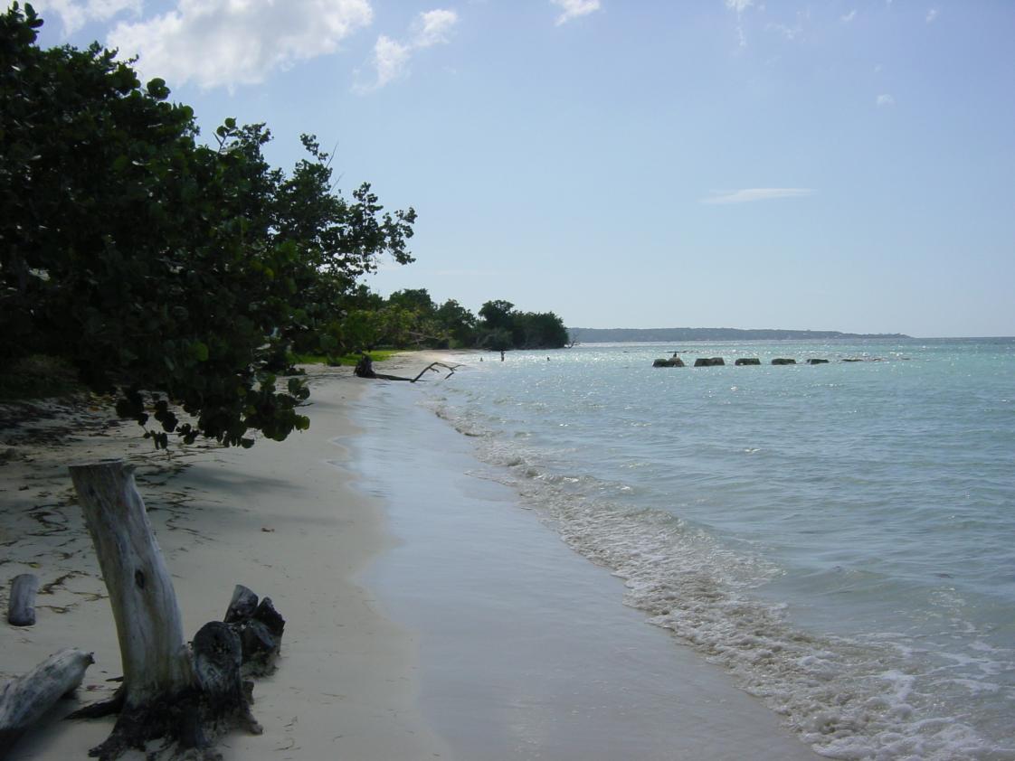 Name:  OurSpotLookingSouth.jpg
Views: 370
Size:  89.6 KB
