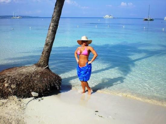 Name:  the-beach-in-front-of.jpg
Views: 2052
Size:  34.4 KB