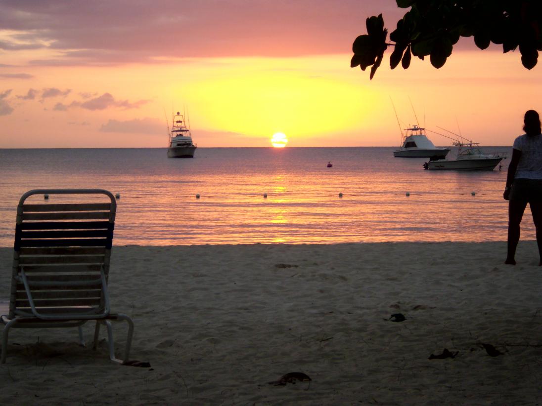 Name:  DSCI0361.jpg
Views: 230
Size:  88.1 KB