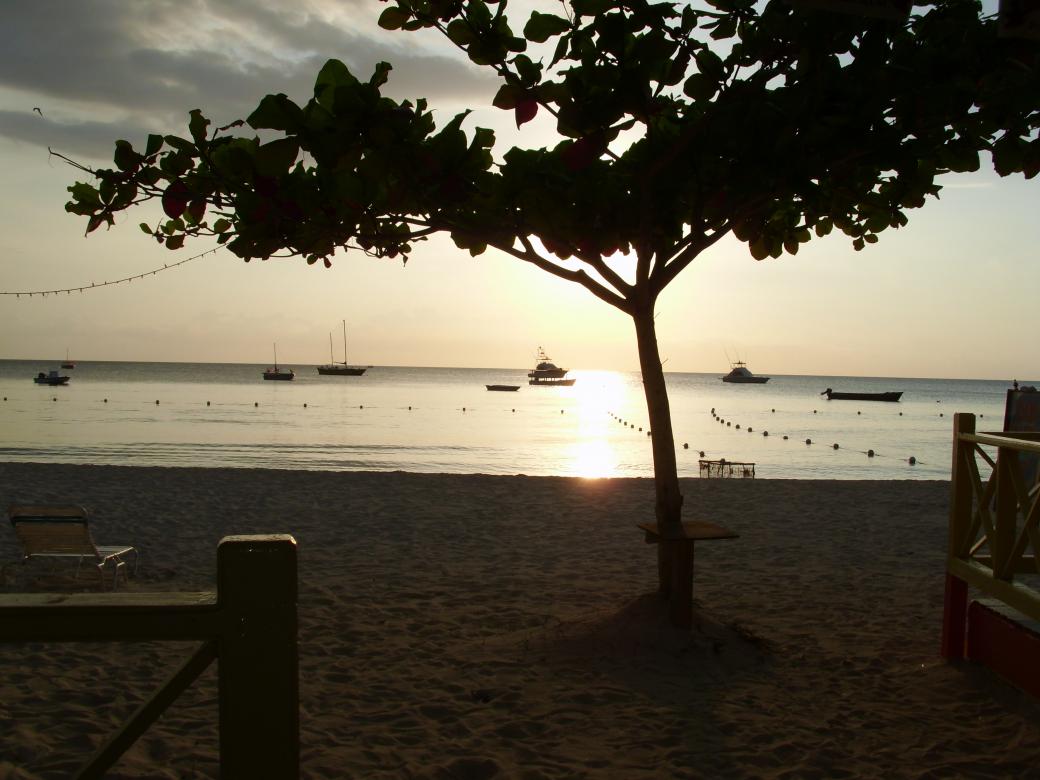 Name:  DSCI0333.jpg
Views: 269
Size:  87.6 KB