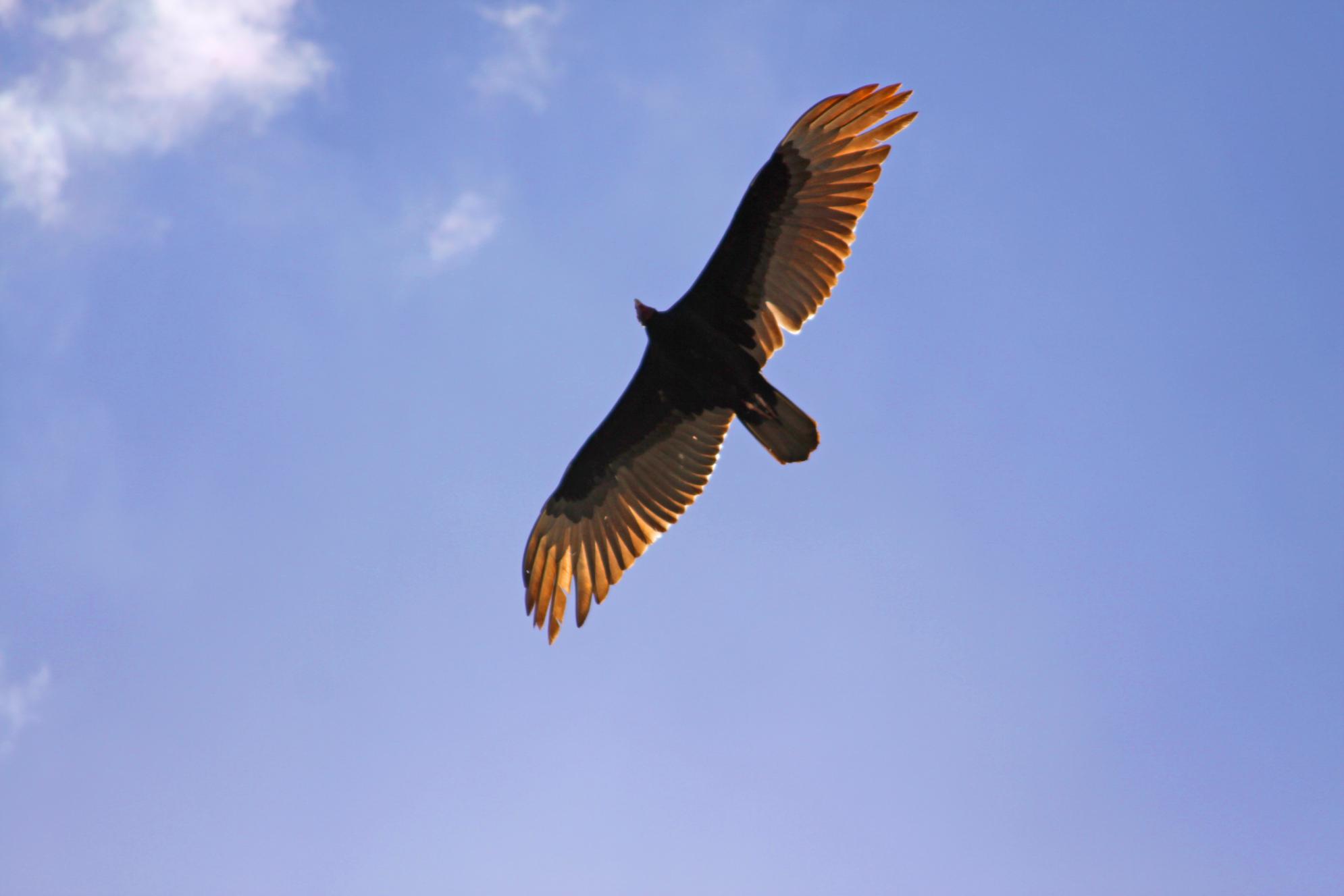 Name:  Ja 2012 (396).jpg
Views: 525
Size:  81.8 KB