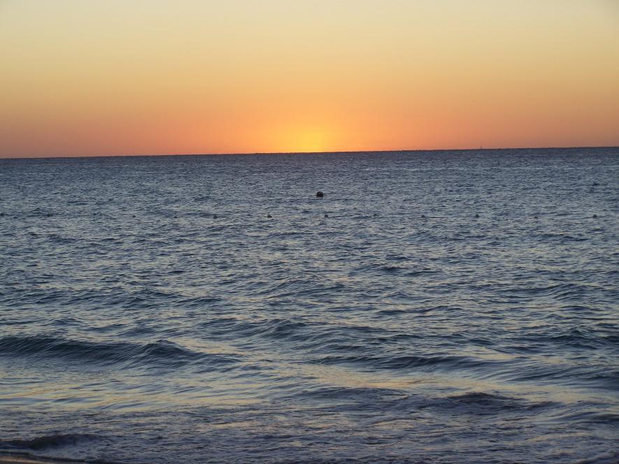 Name:  102_4705.jpg
Views: 1993
Size:  96.4 KB
