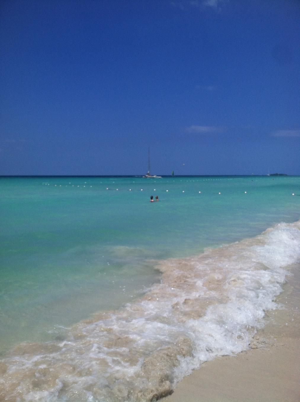 Name:  IMG_3106.jpg
Views: 458
Size:  106.7 KB