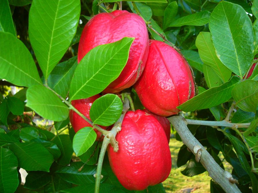 Name:  AA 030.jpg
Views: 1945
Size:  95.1 KB