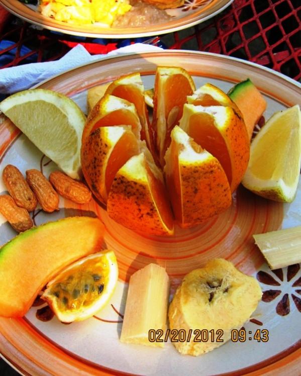 Name:  JN Fruit Plate.jpg
Views: 618
Size:  74.4 KB