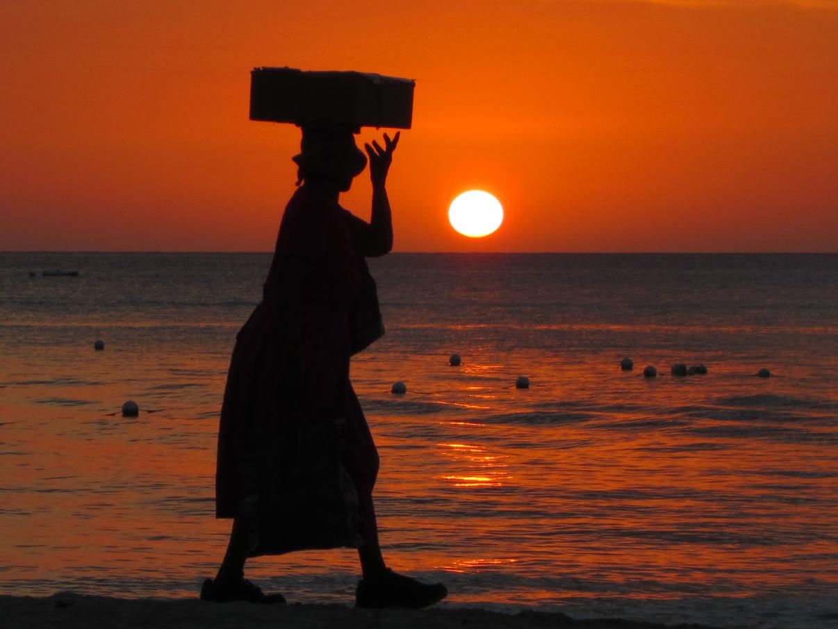 Name:  jamaica 2012 057.jpg
Views: 2033
Size:  86.8 KB