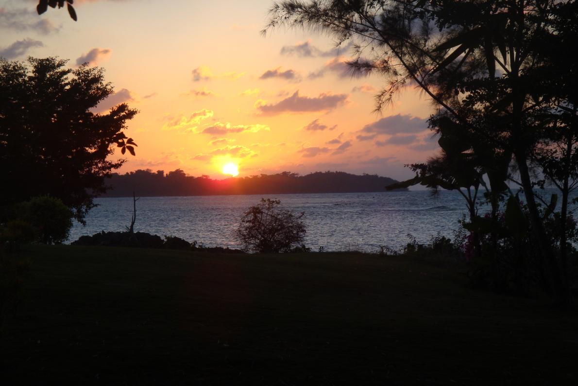 Name:  2009-2010 070.jpg
Views: 444
Size:  91.7 KB