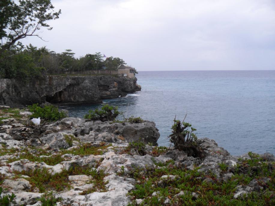 Name:  Jamaica 2012 007.jpg
Views: 552
Size:  94.0 KB