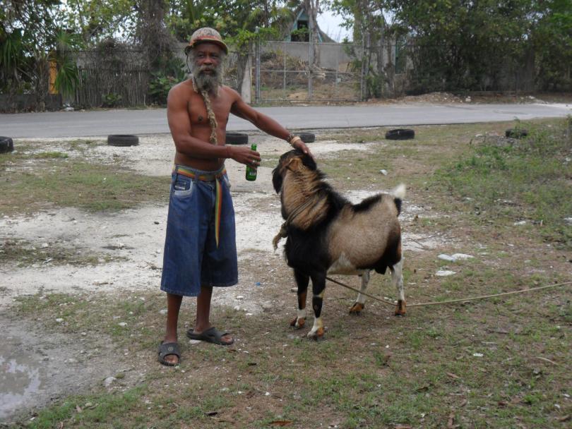 Name:  Jamaica 2012 012.jpg
Views: 607
Size:  97.2 KB