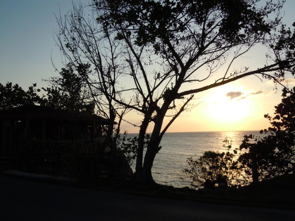 Name:  DSCN0410.jpg
Views: 523
Size:  88.4 KB