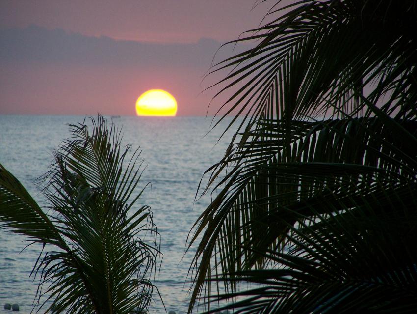 Name:  2010 2011 041.jpg
Views: 1708
Size:  96.6 KB