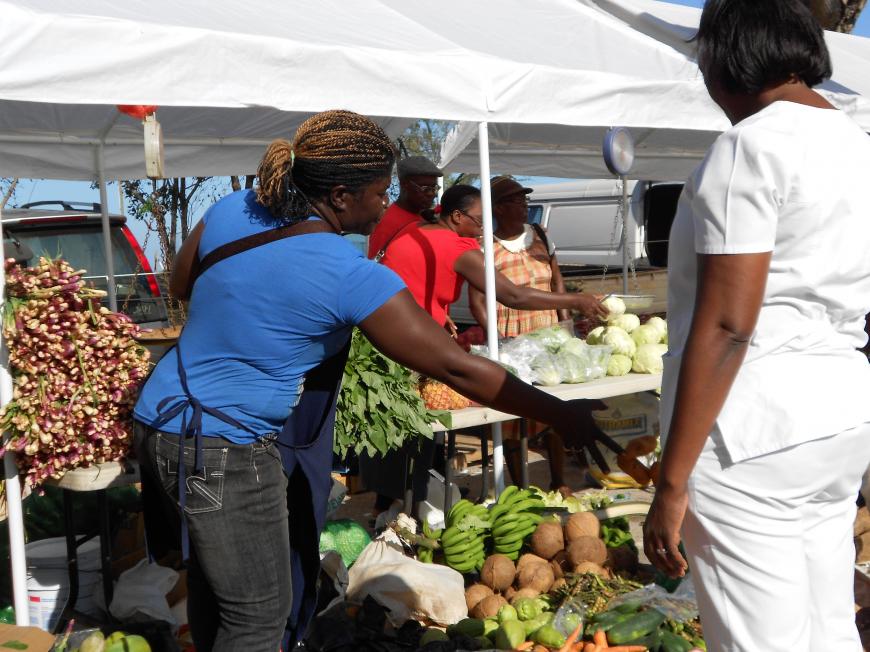 Name:  2012 jamaica 040.jpg
Views: 507
Size:  95.6 KB
