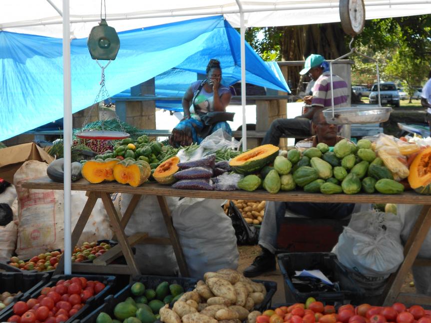 Name:  2012 jamaica 041.jpg
Views: 516
Size:  95.0 KB