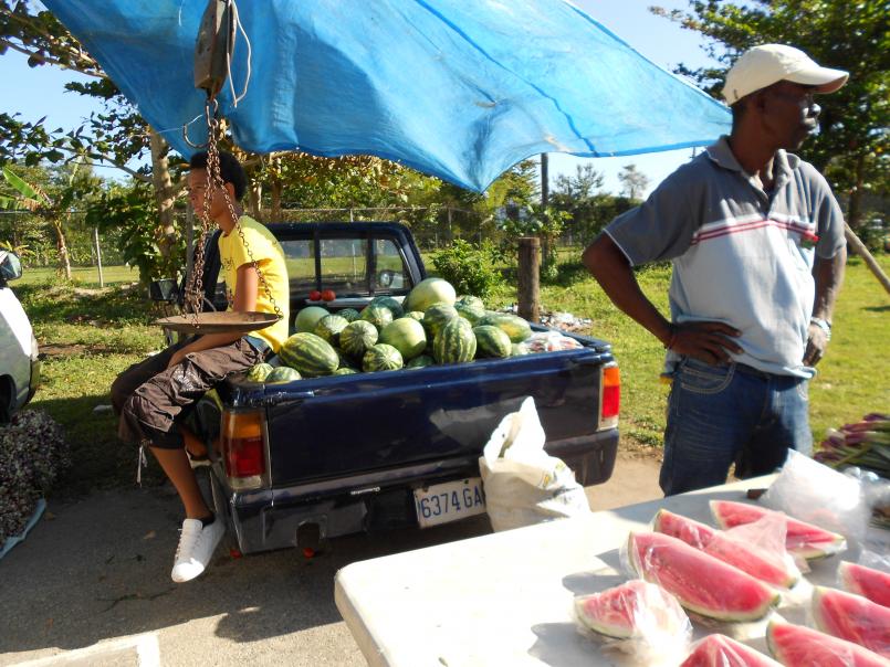 Name:  2012 jamaica 045.jpg
Views: 475
Size:  98.4 KB