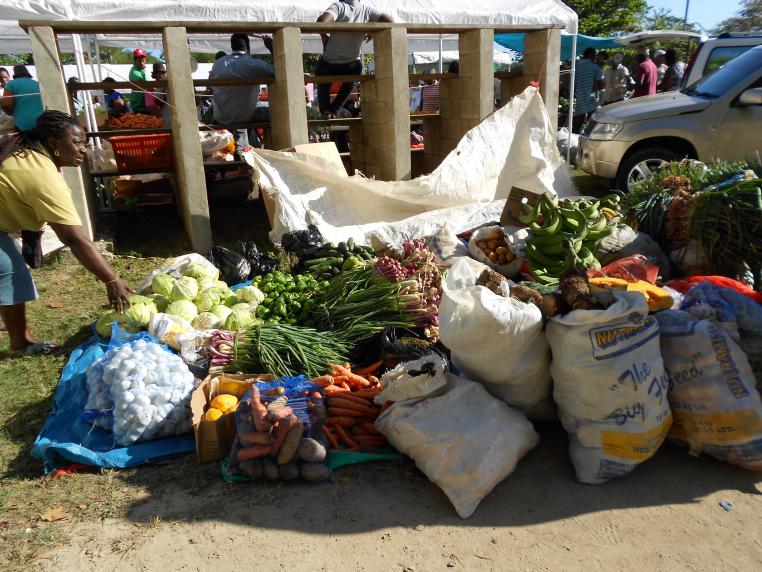 Name:  2012 jamaica 037.jpg
Views: 476
Size:  99.8 KB