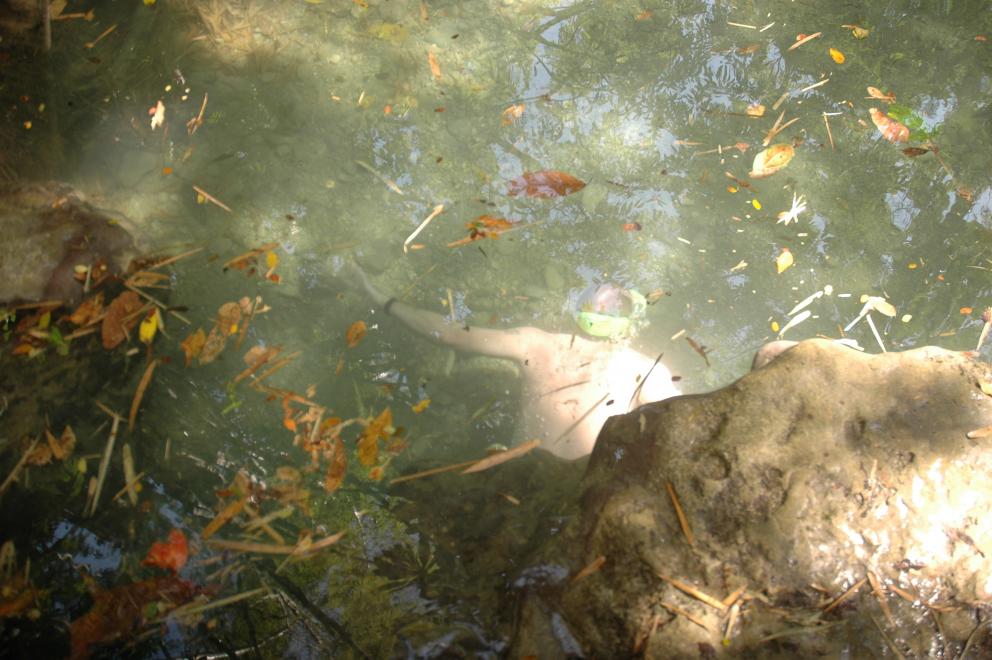 Name:  DSC_6340.jpg
Views: 878
Size:  95.1 KB