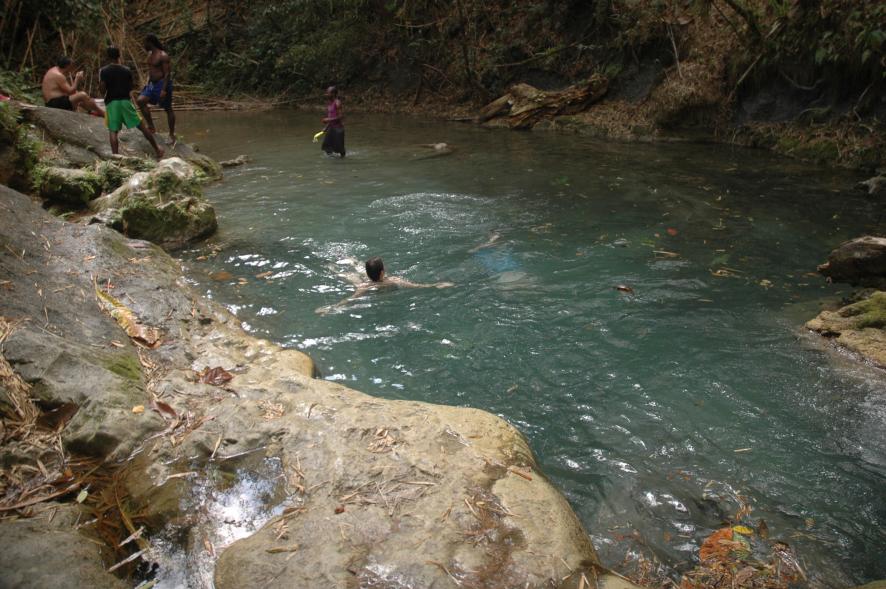 Name:  DSC_6362.jpg
Views: 826
Size:  98.4 KB