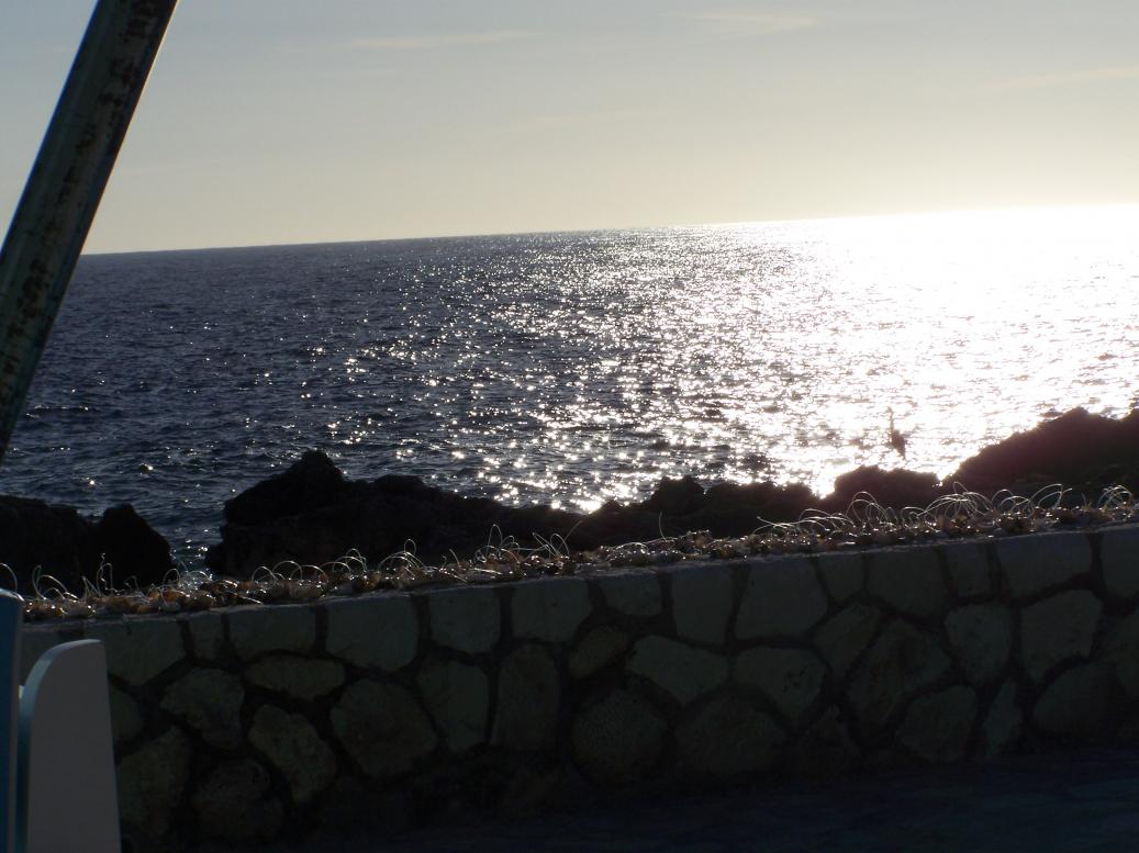 Name:  102_4766.jpg
Views: 1615
Size:  92.9 KB