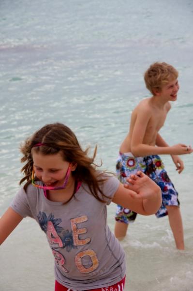 Name:  IMG_1066 (400x600).jpg
Views: 900
Size:  27.6 KB