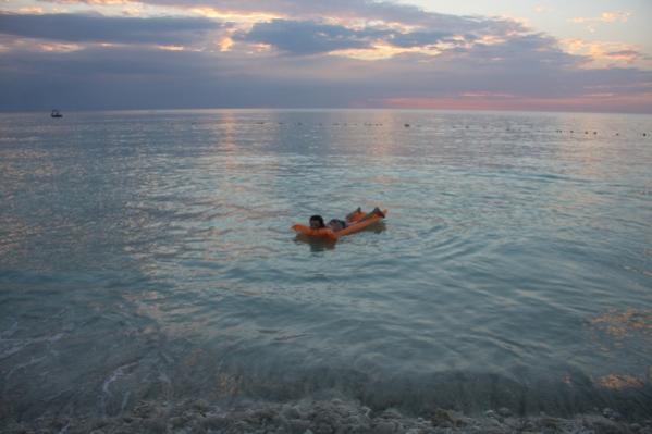 Name:  IMG_1242 (600x400).jpg
Views: 849
Size:  28.9 KB