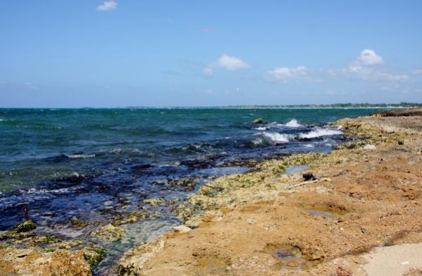 Name:  IMG_1316 (600x394).jpg
Views: 862
Size:  39.5 KB