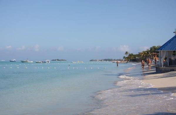 Name:  IMG_1776 (600x394).jpg
Views: 727
Size:  19.5 KB