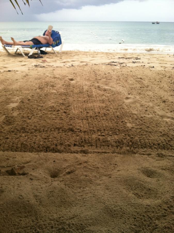 Name:  IMG_3356.jpg
Views: 465
Size:  95.1 KB