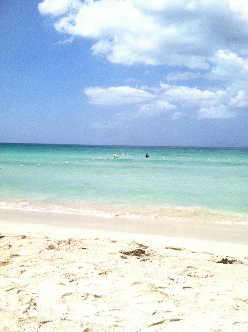 Name:  IMG_3432.jpg
Views: 522
Size:  95.5 KB