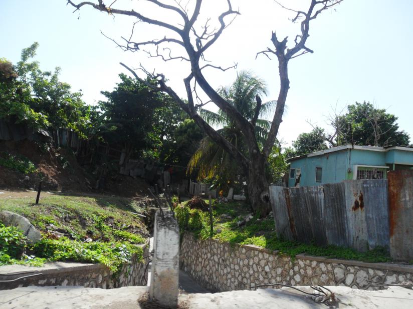 Name:  Jamaica 1-2012 021.jpg
Views: 1731
Size:  97.5 KB