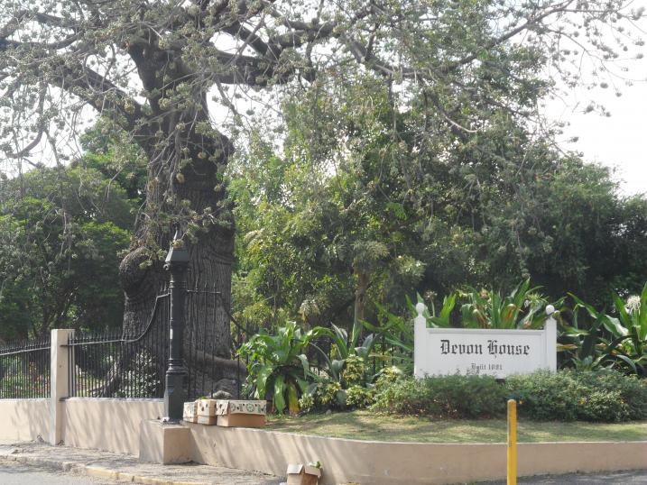 Name:  Jamaica 1-2012 044.jpg
Views: 1190
Size:  99.5 KB