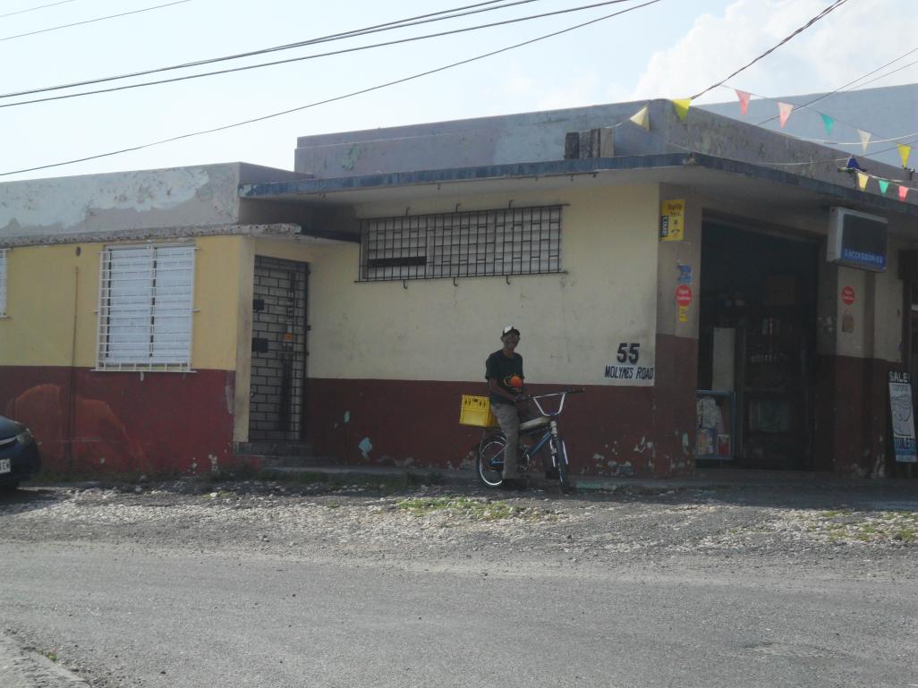 Name:  Jamaica 1-2012 051.jpg
Views: 1585
Size:  94.3 KB