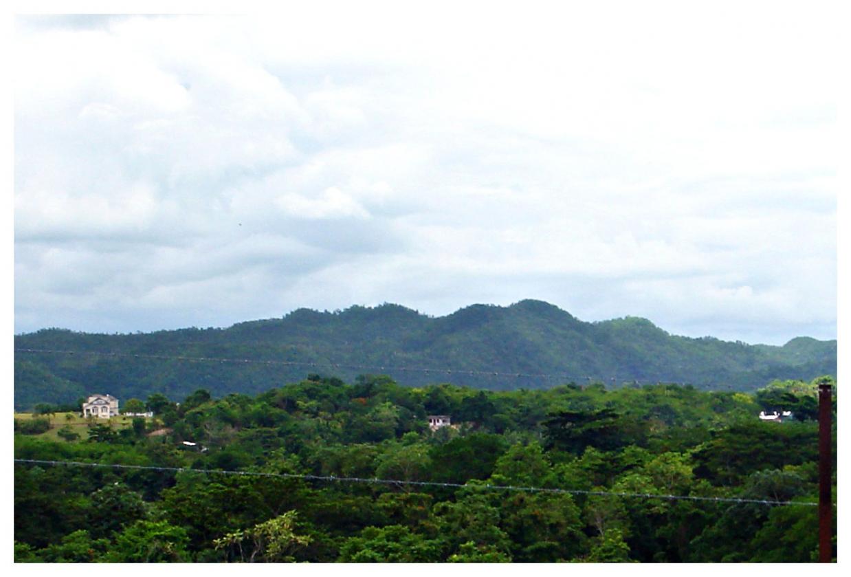 Name:  Negril Golf Club View.jpg
Views: 778
Size:  87.4 KB