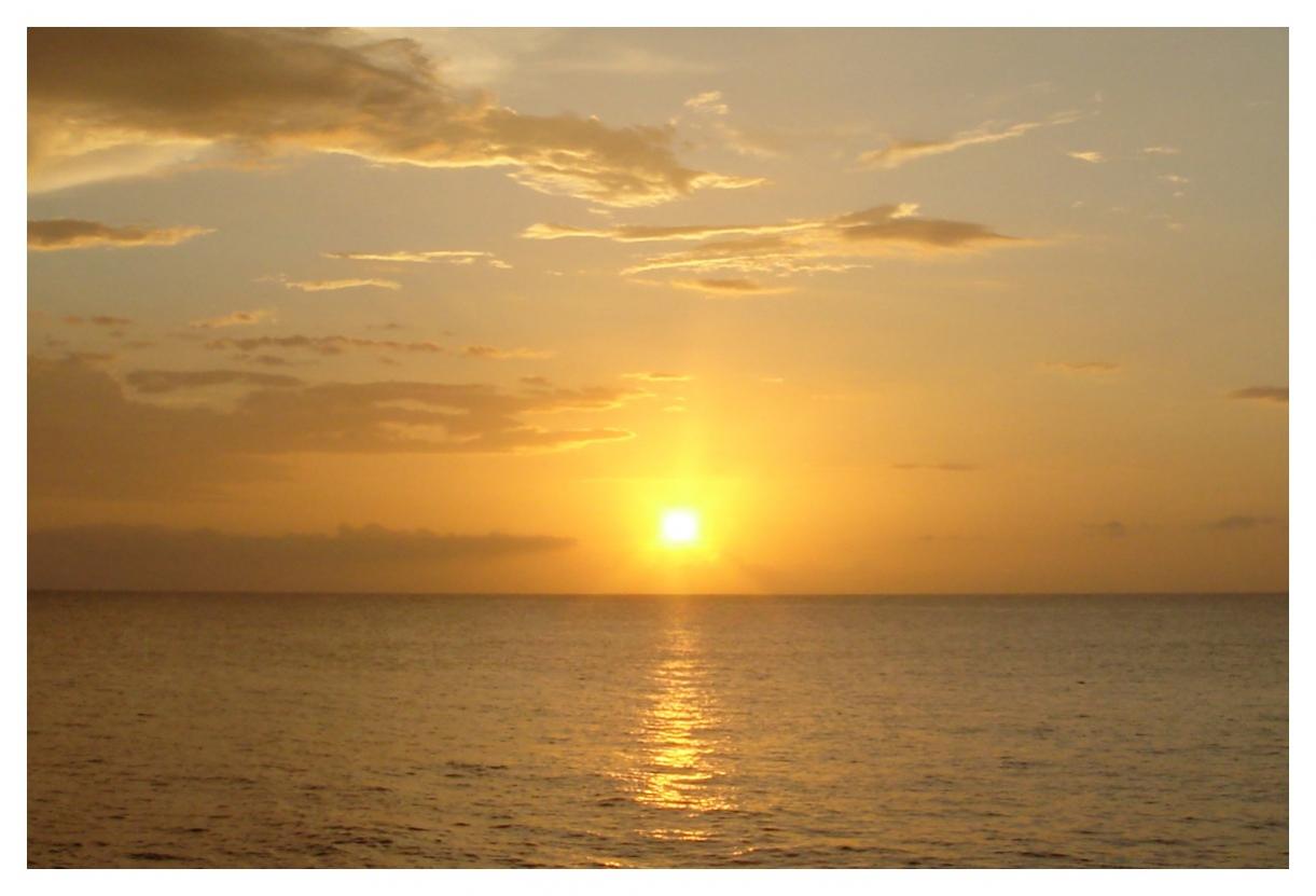 Name:  Samsara 5.jpg
Views: 745
Size:  69.3 KB